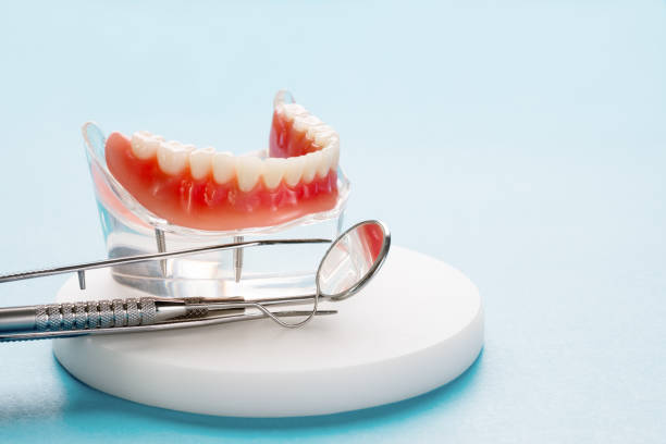 Best Pediatric Dentistry  in Malmstrom Af, MT